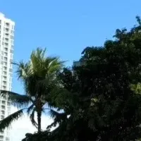 新たな供養の形