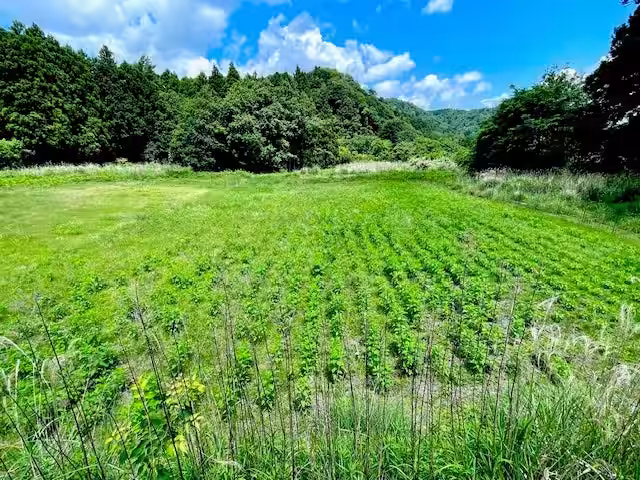 画像9