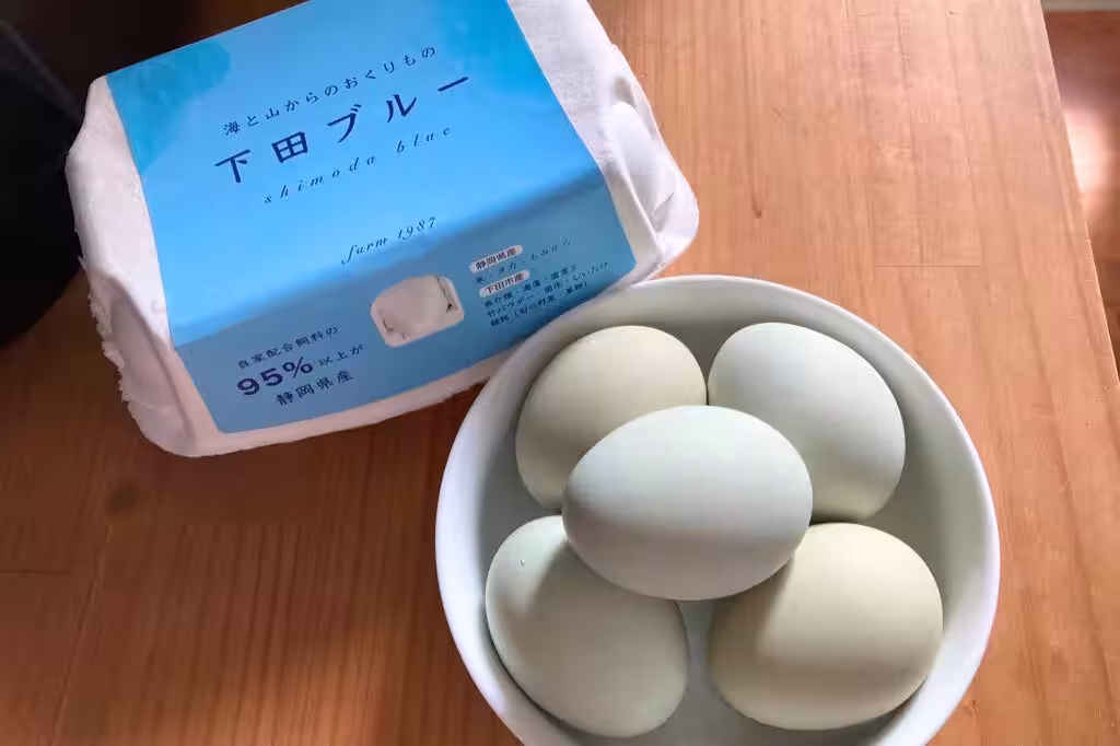 画像4