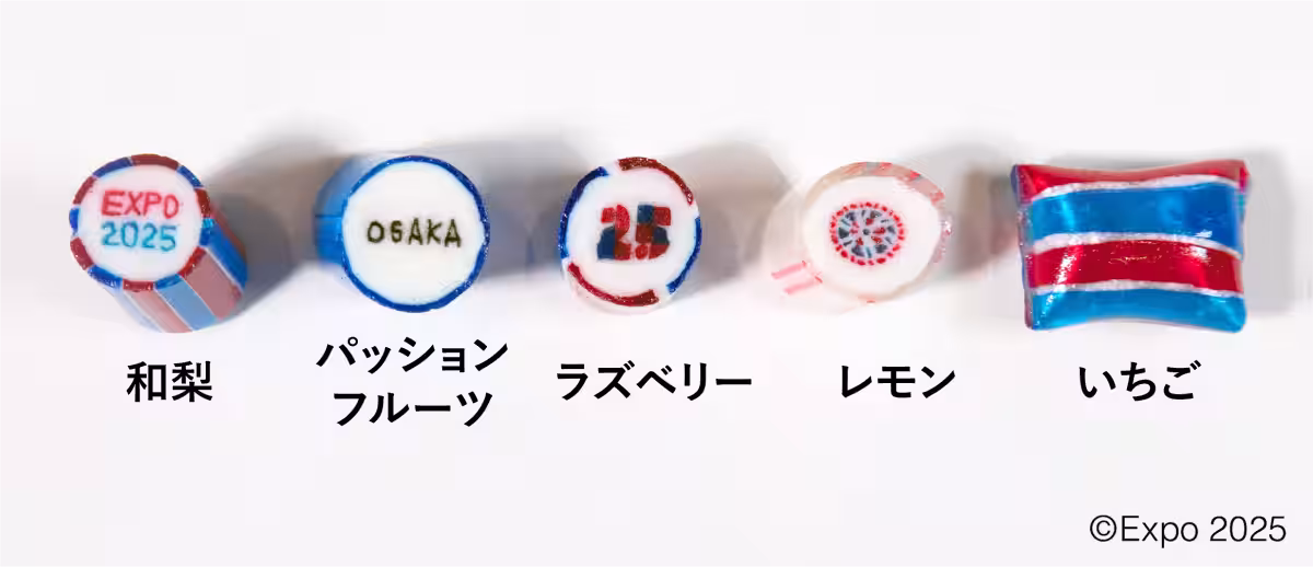 画像12