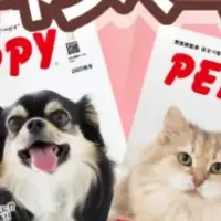 愛犬猫モデル募集