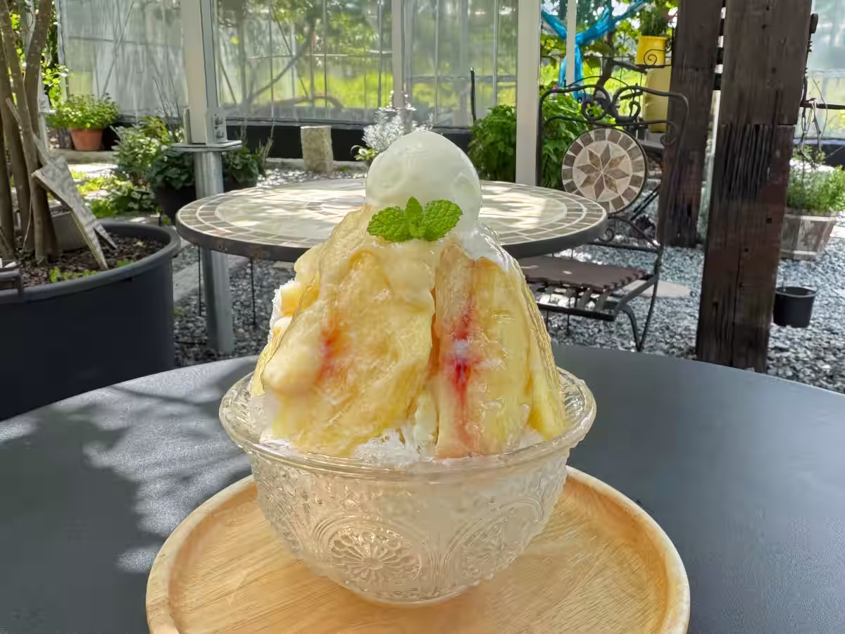 画像12