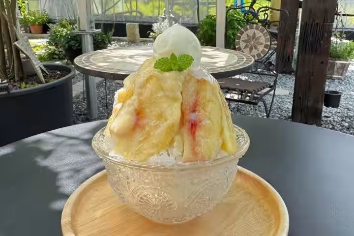 画像14