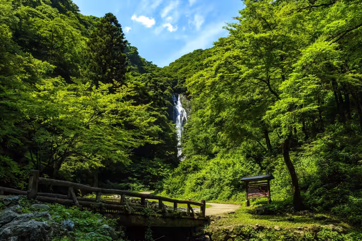 画像8