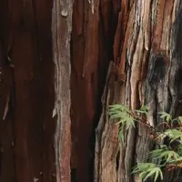 新拠点『ANŪ』始動