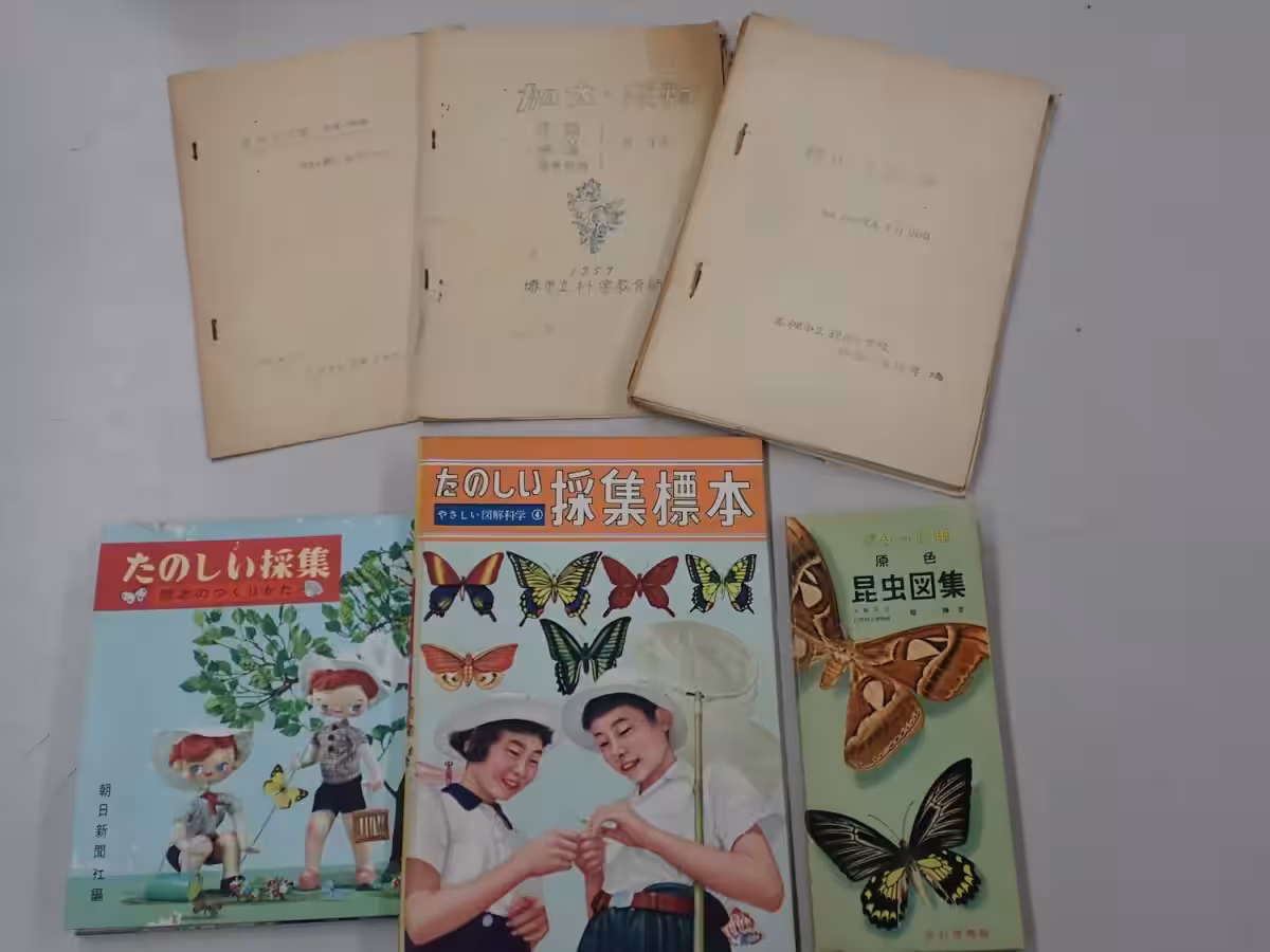 画像5