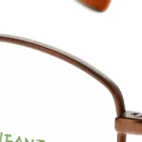 アンファンバディ受賞