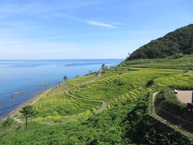 画像13