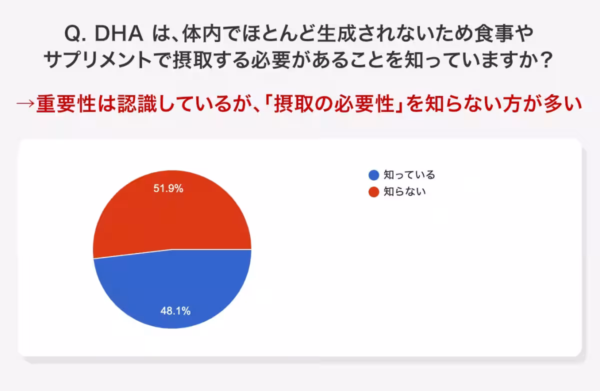 画像16