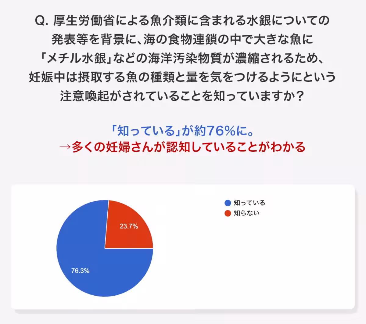 画像17