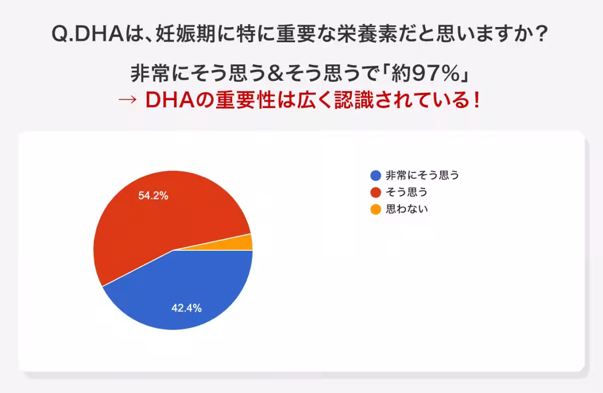 画像15