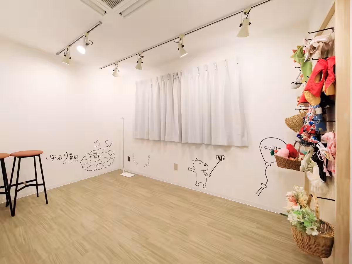 画像12