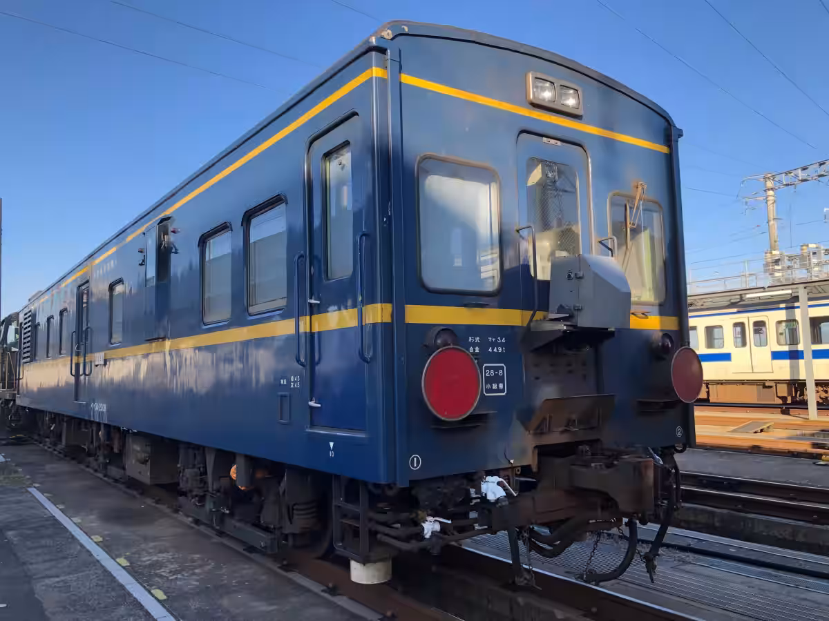 画像7