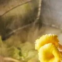 贅沢秋のディナー