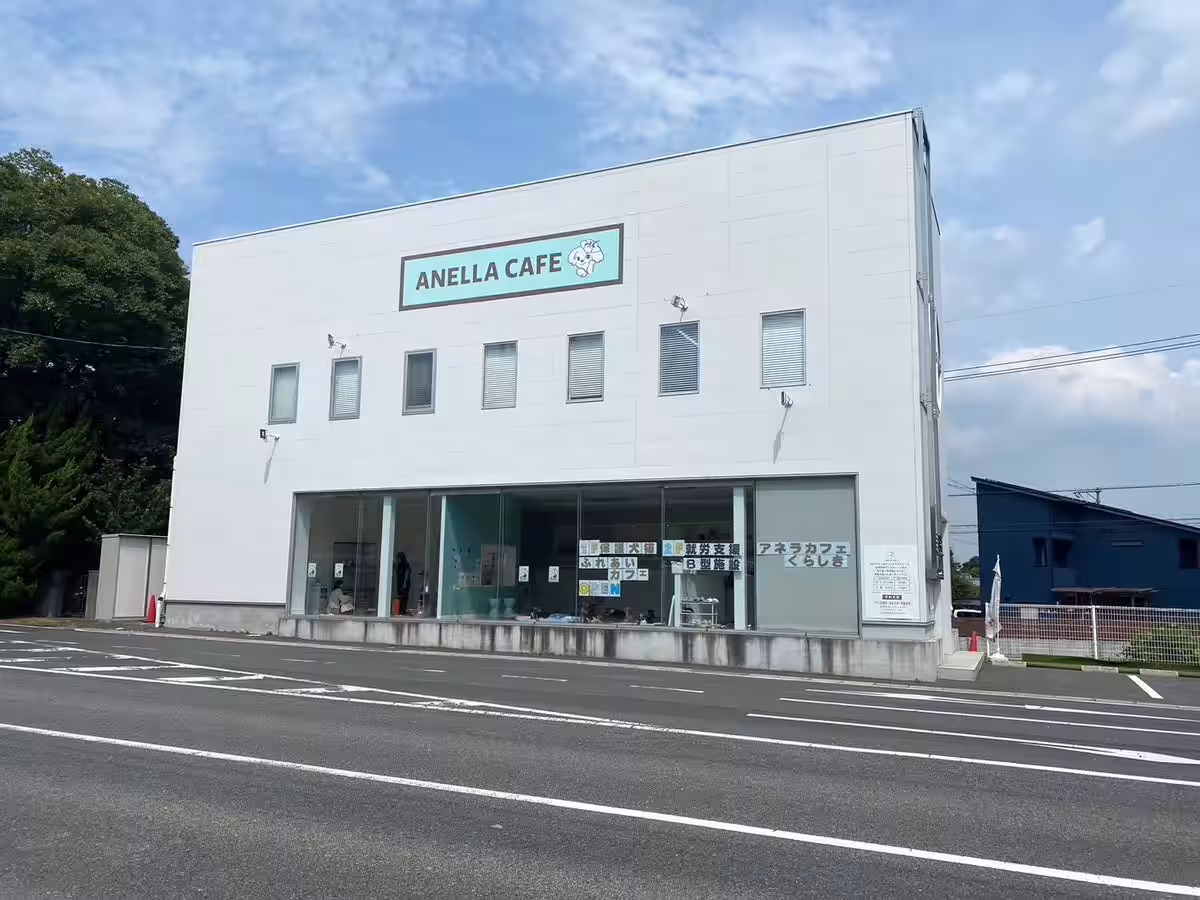 画像9