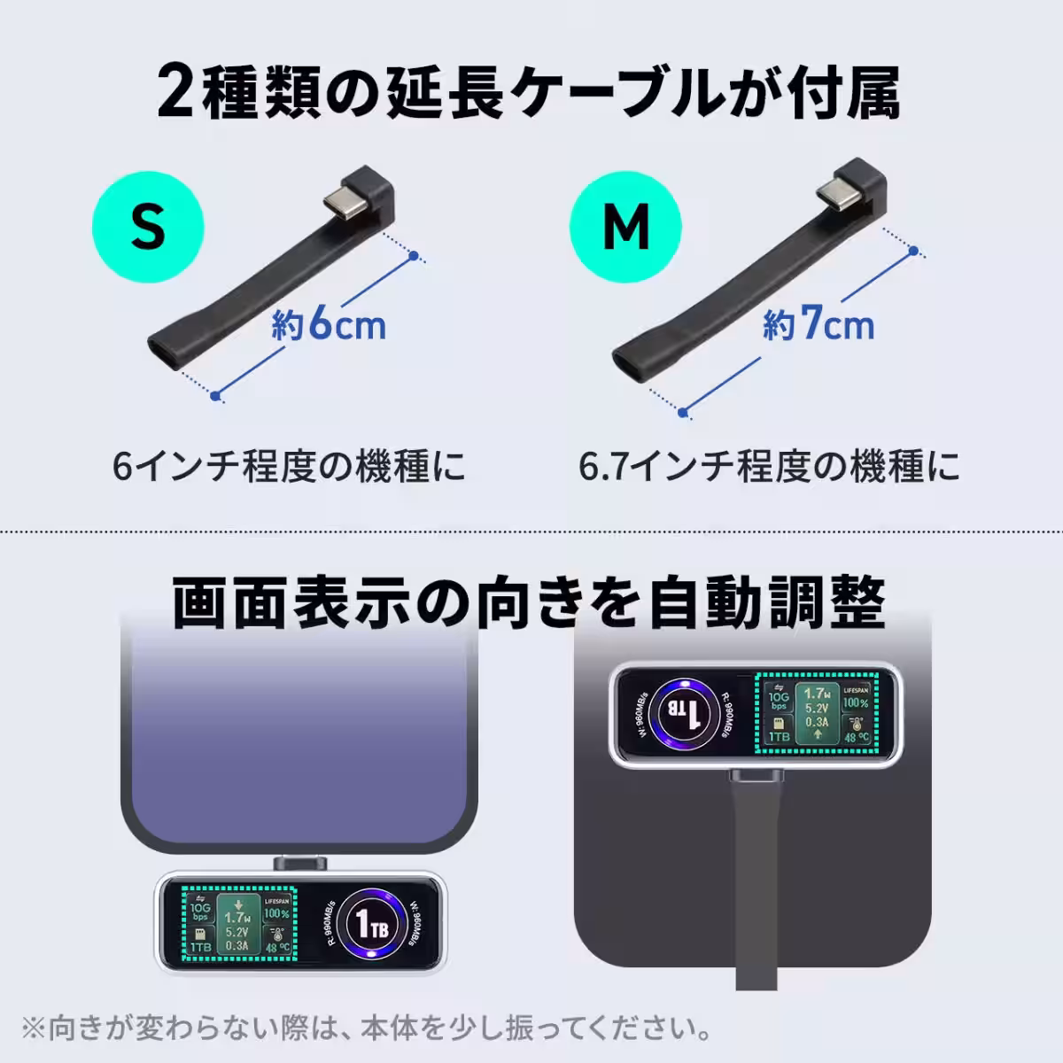 画像8