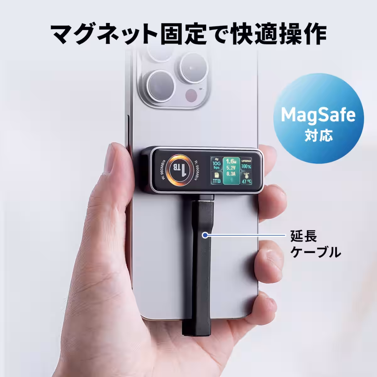画像6