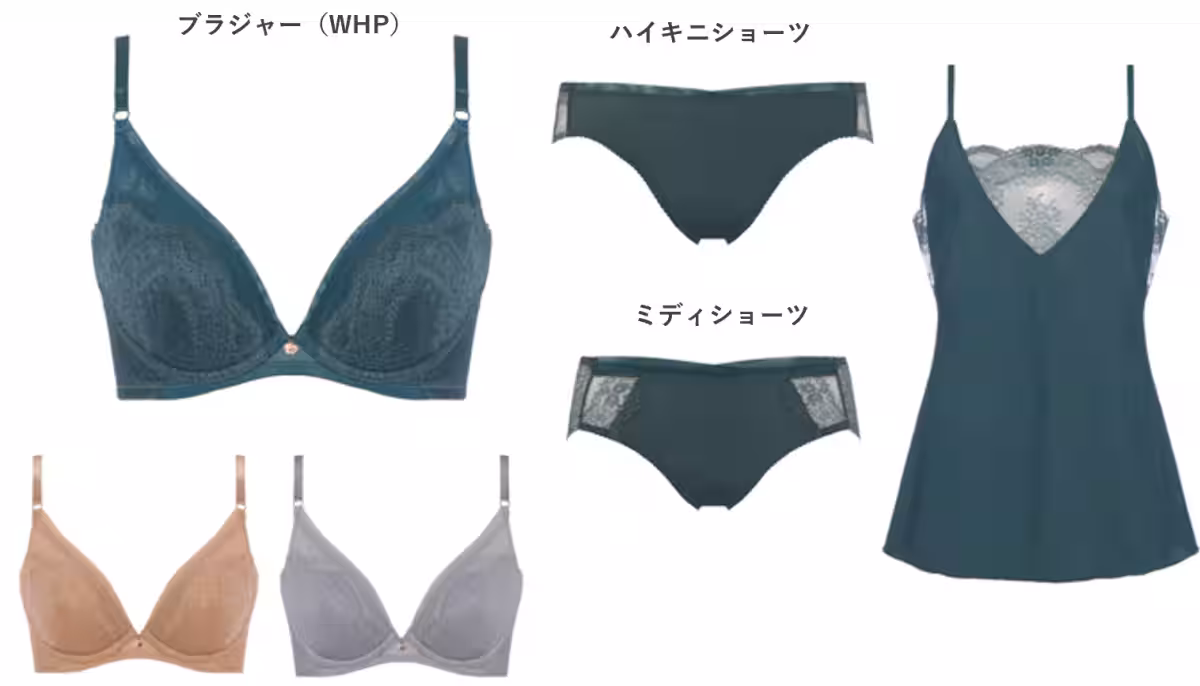 画像14