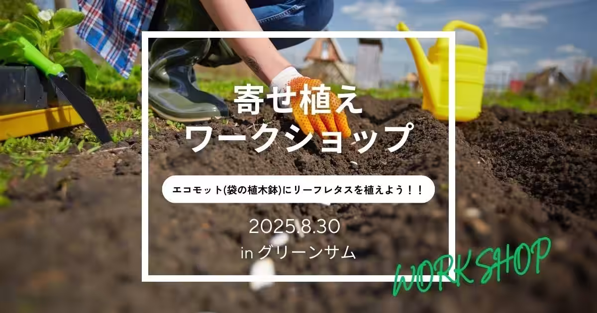 画像8