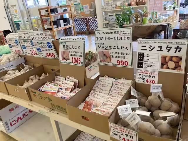 画像10