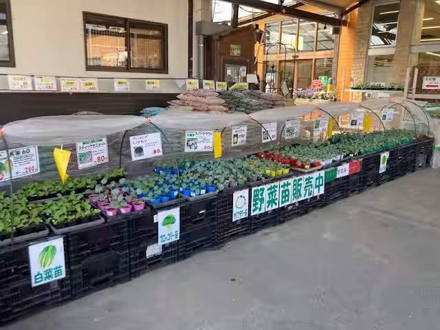画像11