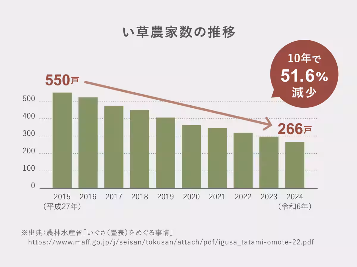 画像14