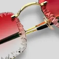 Cartierサングラス新登場