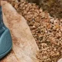 秋冬の新作シューズ