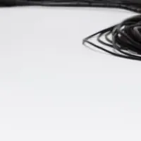 BOLDコレクション公開