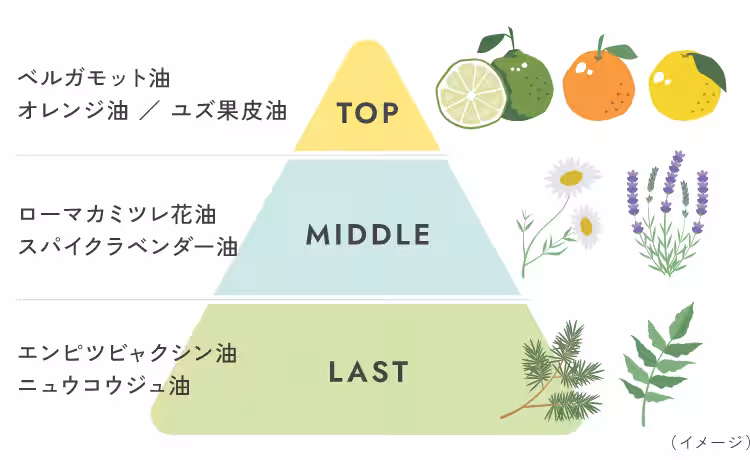 画像11