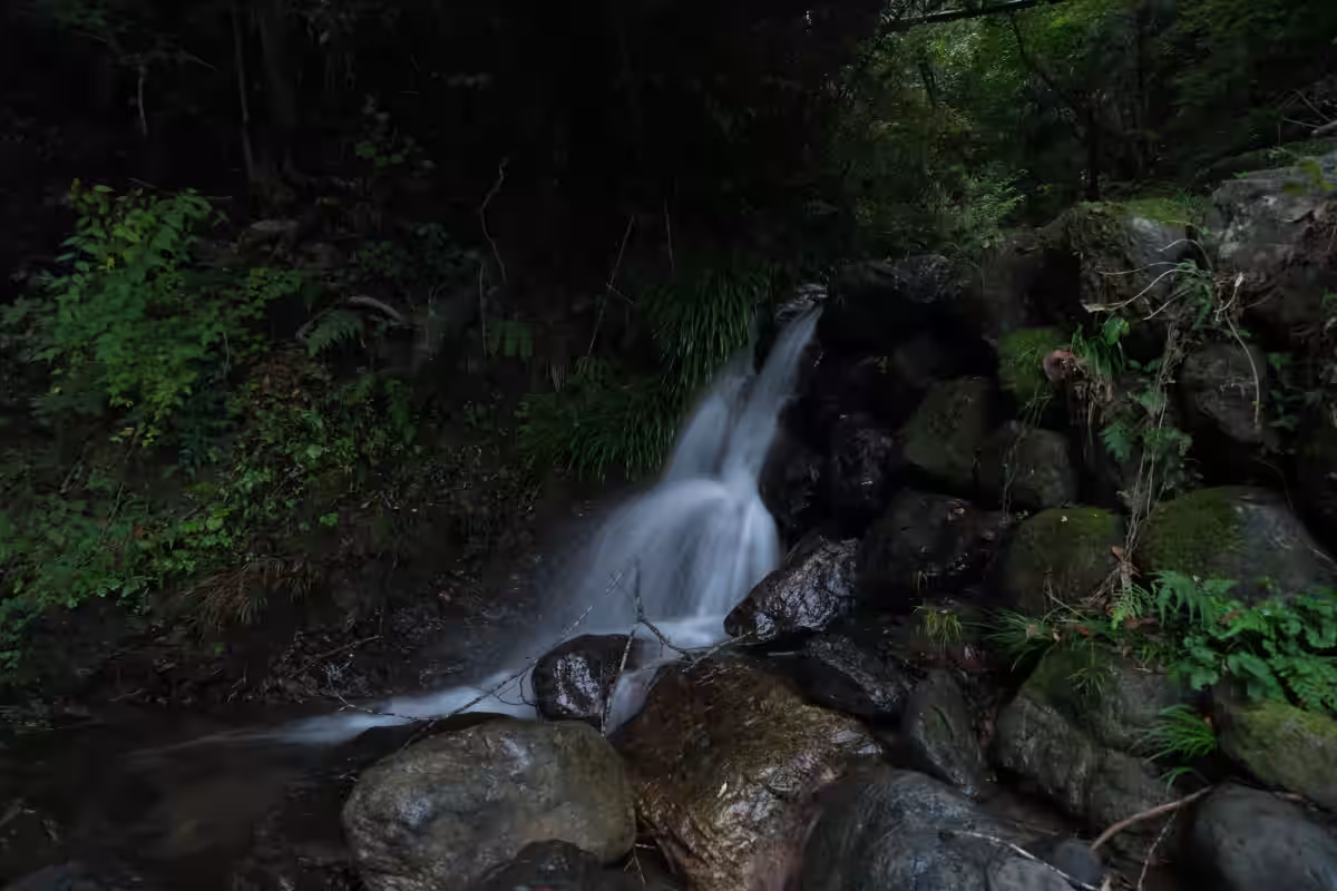 画像4
