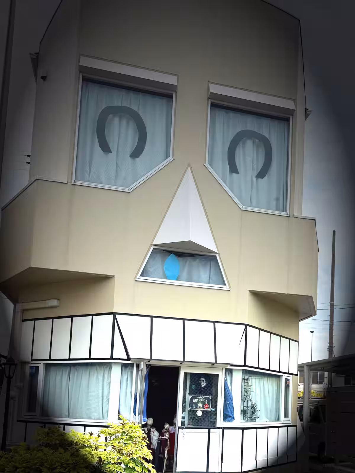 画像5