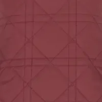 Diorlingキャンペーン