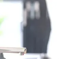 Bears: Parenting Support