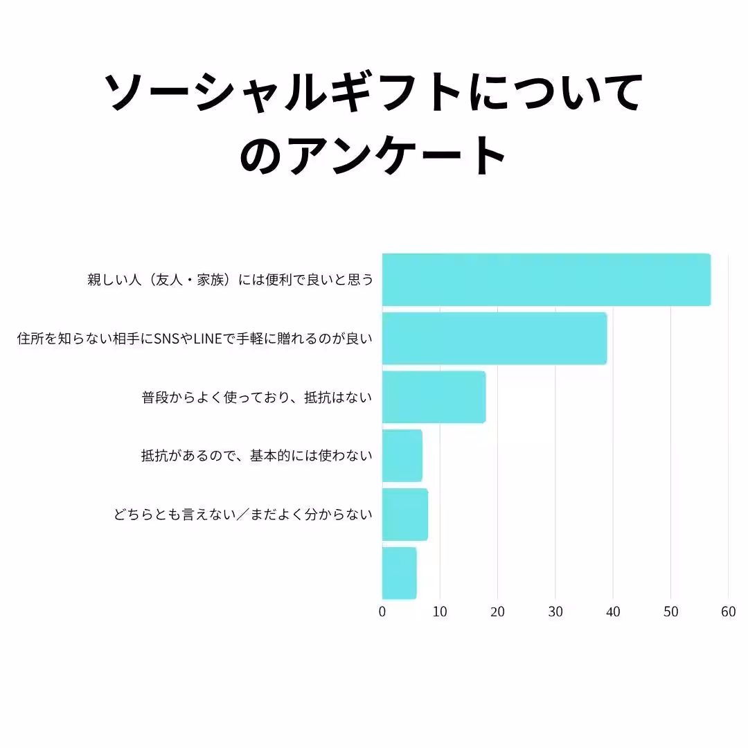 画像12