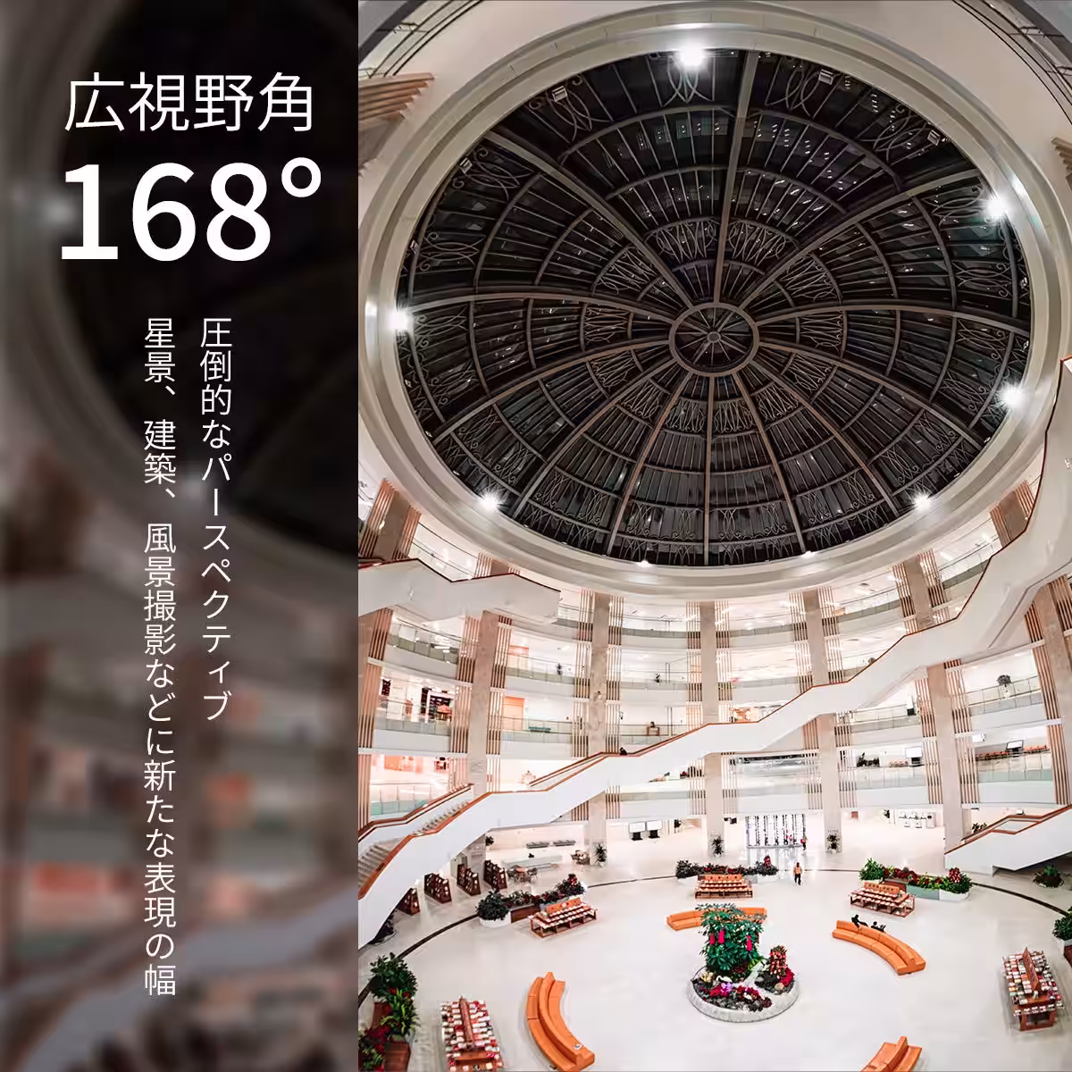 画像17