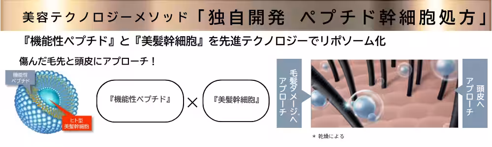 画像12
