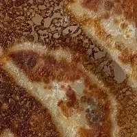 ARでギョーザを楽しもう