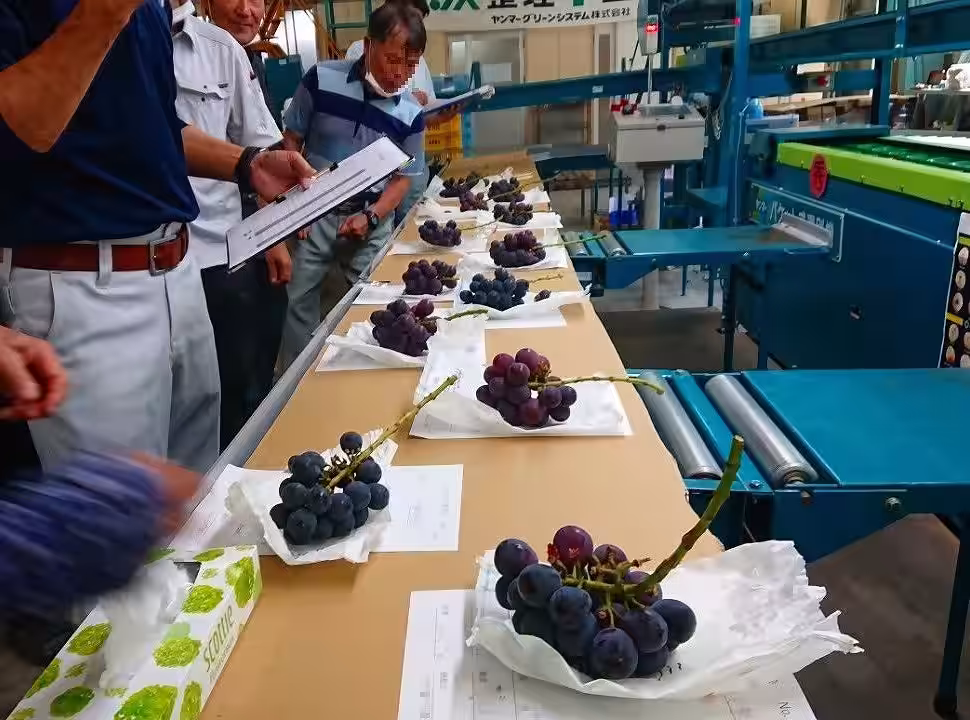 画像10