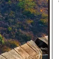 歴史書『史記』新刊