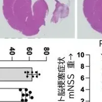 運動とPRPの新しい治療