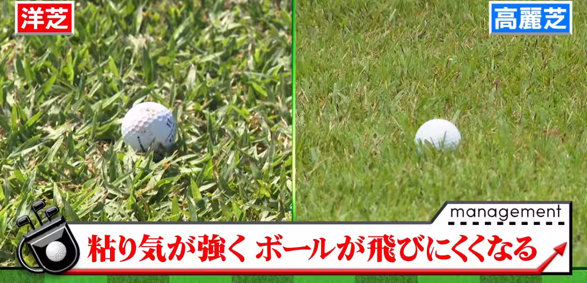 画像11