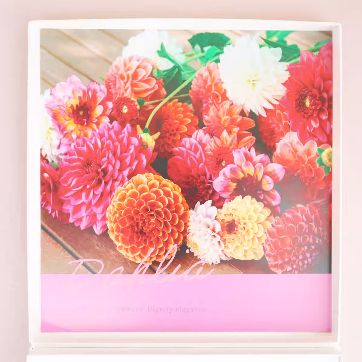 画像20