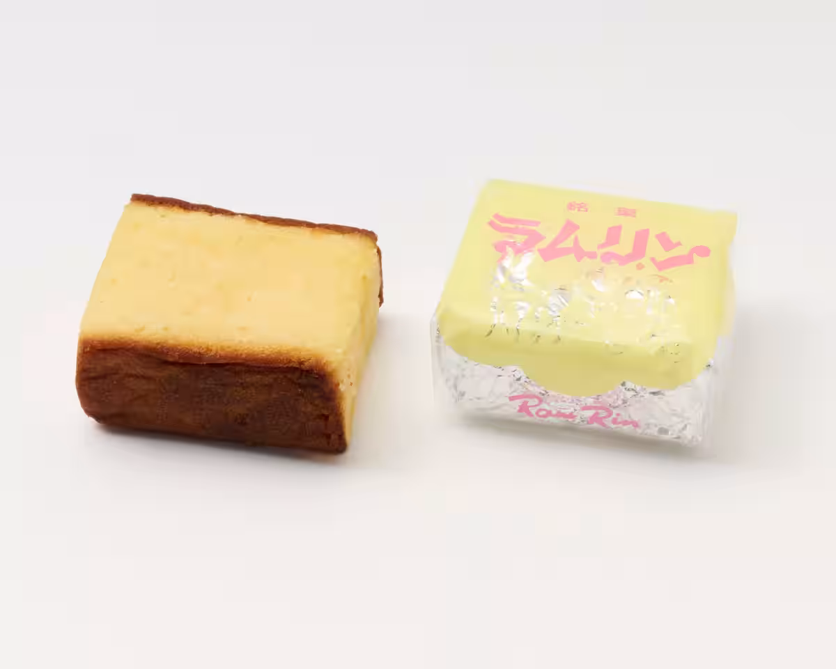 画像14