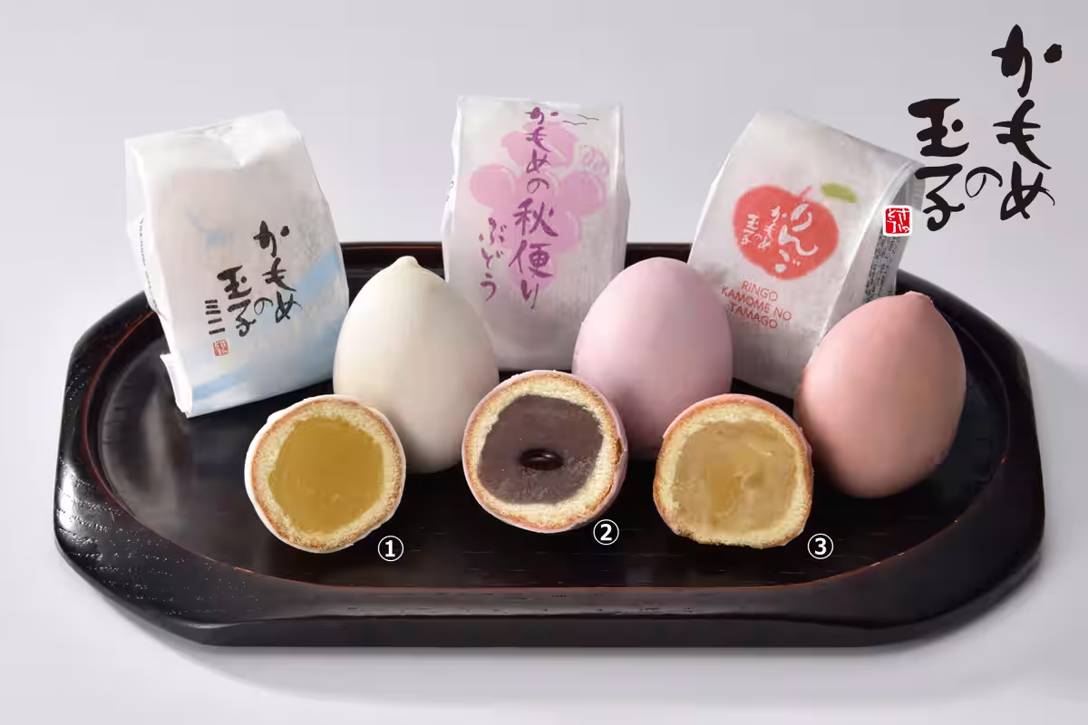画像8