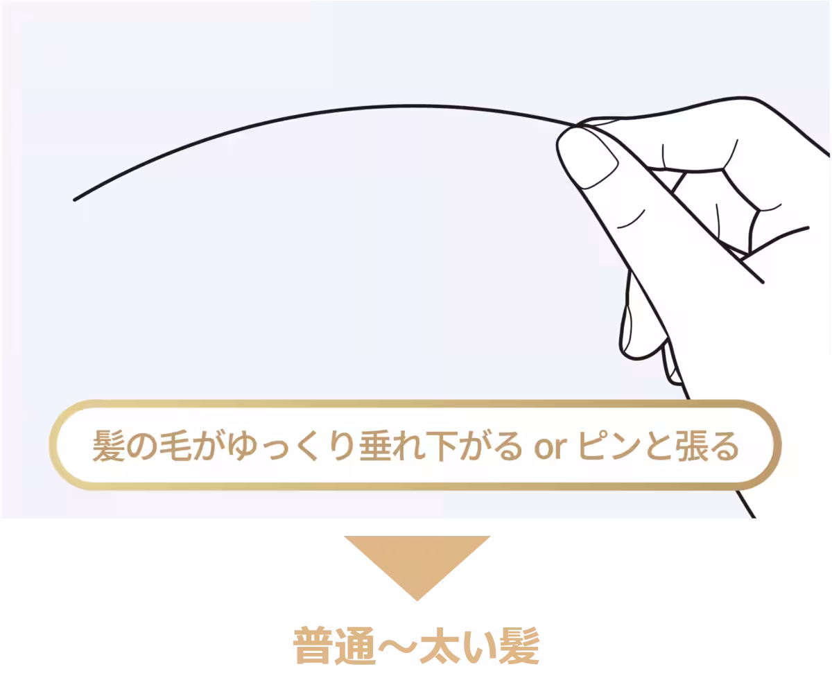 画像13