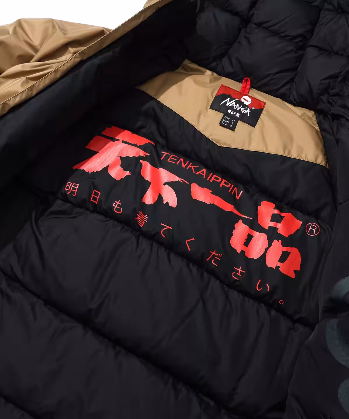 画像5