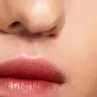 ルイ・ヴィトンの新作