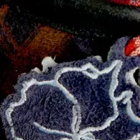 特別なワラビー