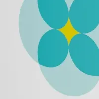 Fellneリニューアル